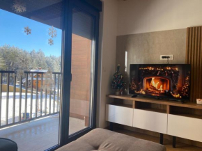 New, complete equipped apartment with Spa, indoor pool and parking place